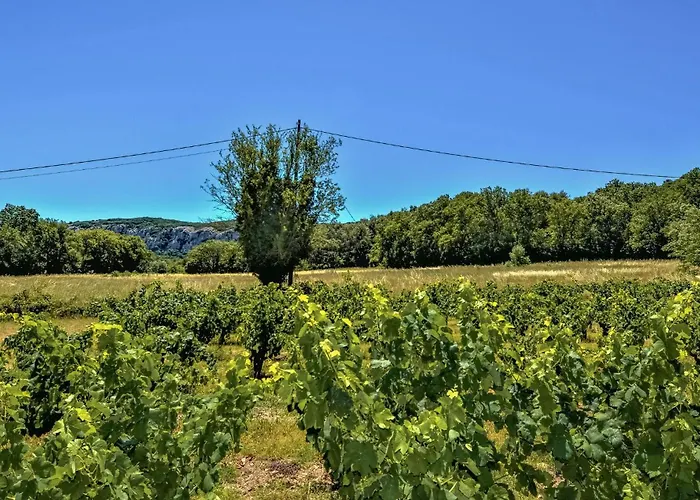 Holiday home In St-genies-de-comolas